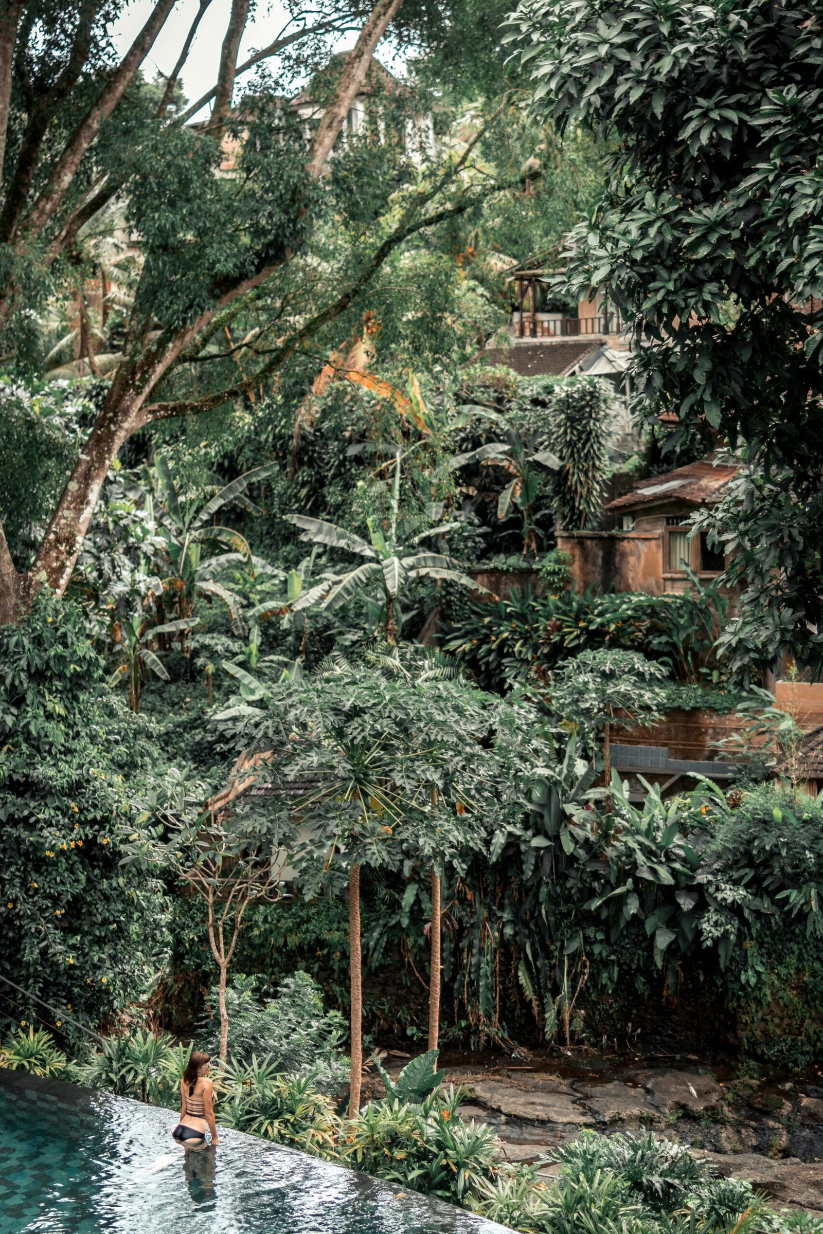 woman near papaya tree